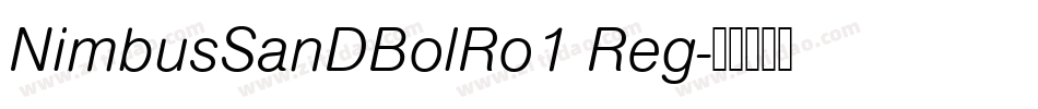 NimbusSanDBolRo1 Reg字体转换